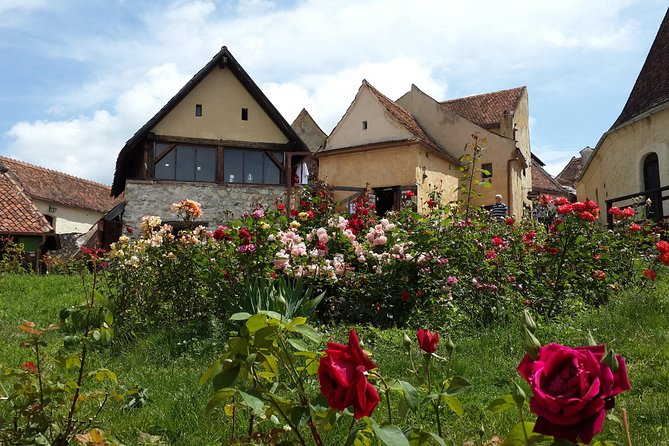 Brasov: Bear Sanctuary, Bran Castle & Rasnov Fortress GUIDED Tour - Stop 3: Rasnov Citadel panoramas over Bârsa Land