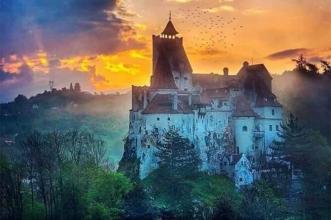 Brasov: Bear Sanctuary, Bran Castle & Rasnov Fortress GUIDED Tour - What to pack and expect for an 8-hour day