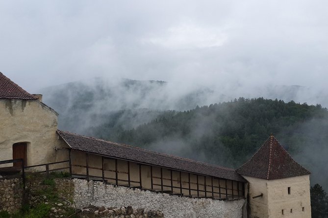 Brasov: Bear Sanctuary, Bran Castle & Rasnov Fortress GUIDED Tour - Price and value: what you’re paying for (and what you’re not)