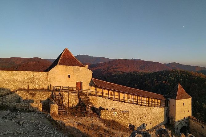 Brasov: Bear Sanctuary, Bran Castle & Rasnov Fortress GUIDED Tour - Who this tour suits best (and who should reconsider)
