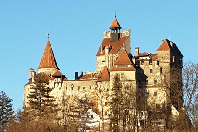 Brasov: Bear Sanctuary, Bran Castle & Rasnov Fortress GUIDED Tour - Getting there comfortably: transport, guide, and timing