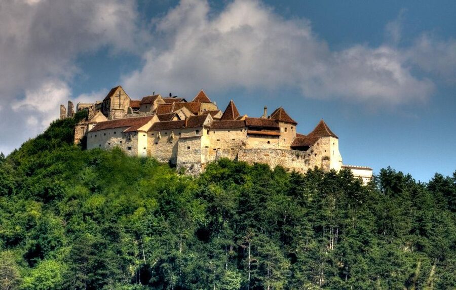 Brasov: Bear Sanctuary, Dracula Castle, and Râşnov Fortress - Brașov to Transylvania in 6 hours: how the pace really works
