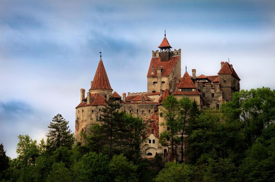 Brasov: Bear Sanctuary, Dracula Castle, and Râşnov Fortress - The conservation talk: why this stop feels more meaningful than a photo op