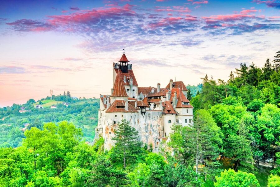 Brasov: Bear Sanctuary, Dracula Castle, and Râşnov Fortress - Price and value: what $47 buys you, and what you still pay for