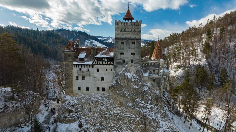 Brasov: Bear Sanctuary, Dracula Castle, and Râşnov Fortress - Comfort, timing, and what to bring (so your day stays pleasant)