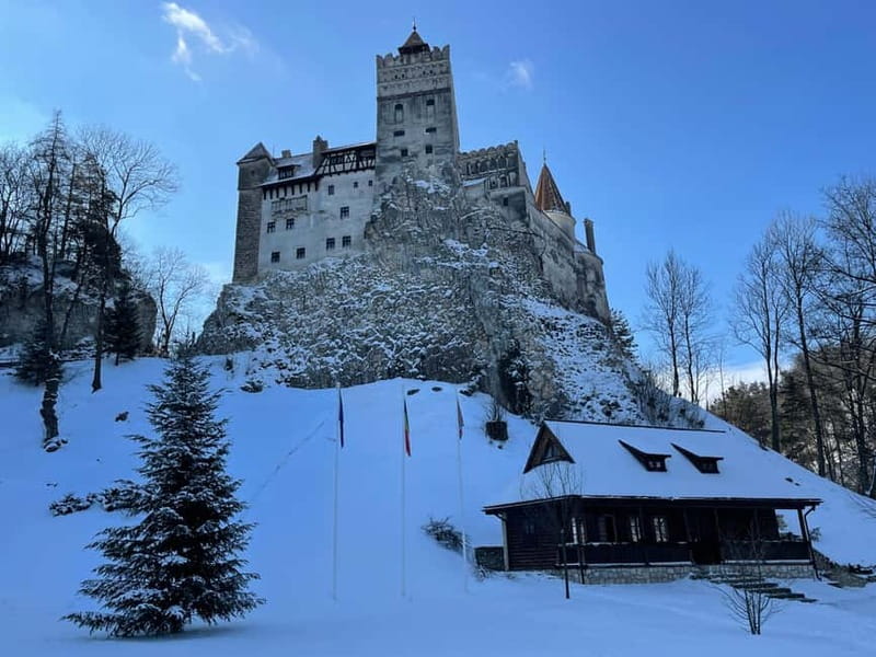 Brașov: Bran, Râșnov, and Peleș Castles Tour with Guide - Getting the Most Out of Peleș Castle Tickets and Timing