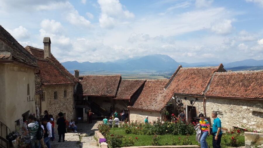 Brasov: Peles Castle, Bran Castle & Rasnov Fortress Day Tour - Price and value: is $84 per person worth it?