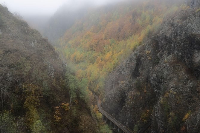 Brasov Private Tour: Transfagarasan road & Poienari Fortress - Vidraru Dam: A Man-Made Stop That Still Feels Like a Mountain Destination