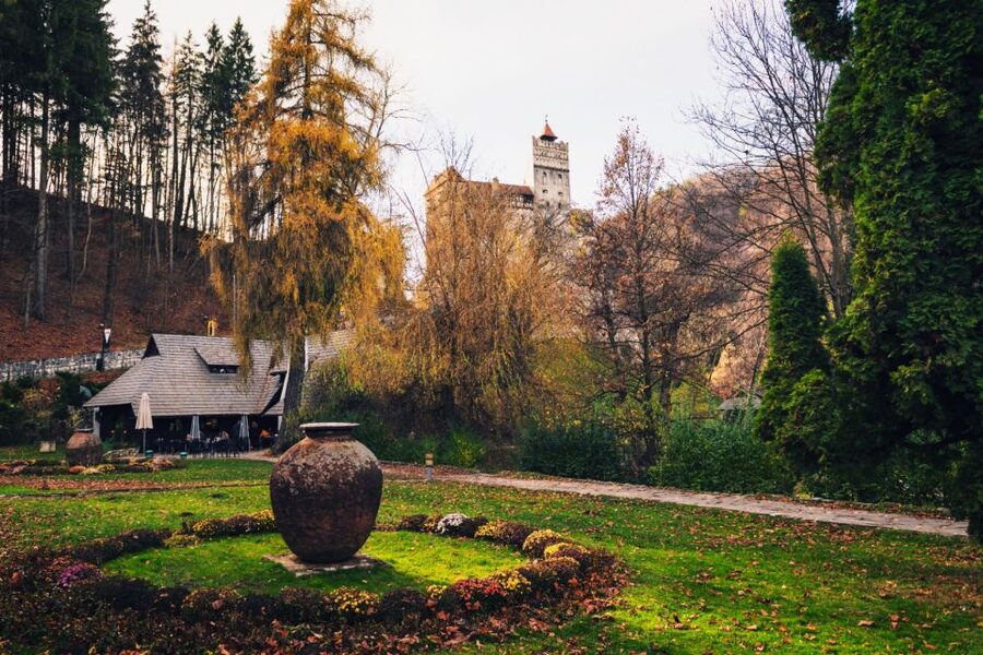 Bucharest: Bran Castle and Bear Sanctuary Small-Group Tour - Libearty Bear Sanctuary: why the forest habitat matters