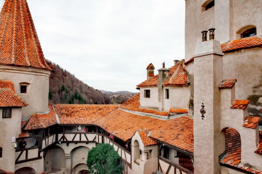 Bucharest: Bran Castle and Bear Sanctuary Small-Group Tour - Price and value: what $145 buys you (and what it doesn’t)