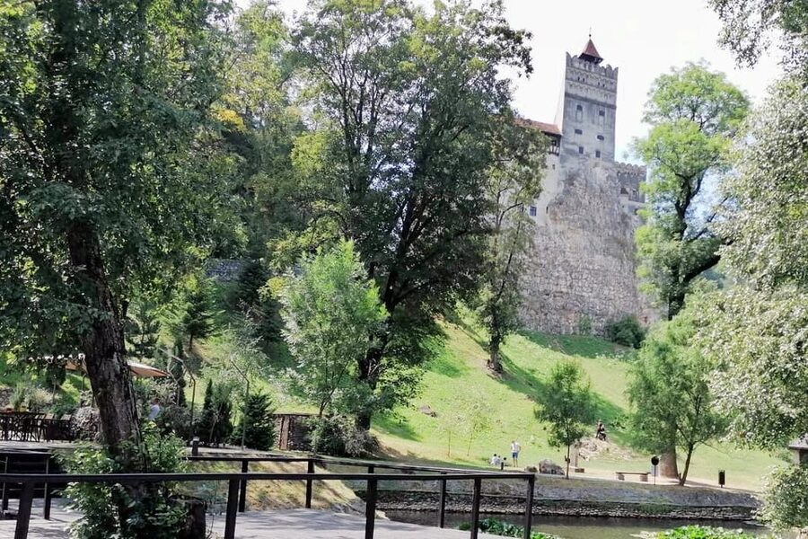 Bucharest: Bran Castle and Bear Sanctuary Small-Group Tour - Should you book this Bucharest to Bran and Bear Sanctuary tour?