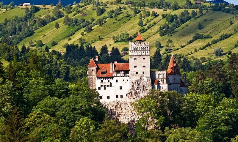 Bucharest: Day Trip to Bear Sanctuary, Bran Castle & Brasov - Key moments to look forward to