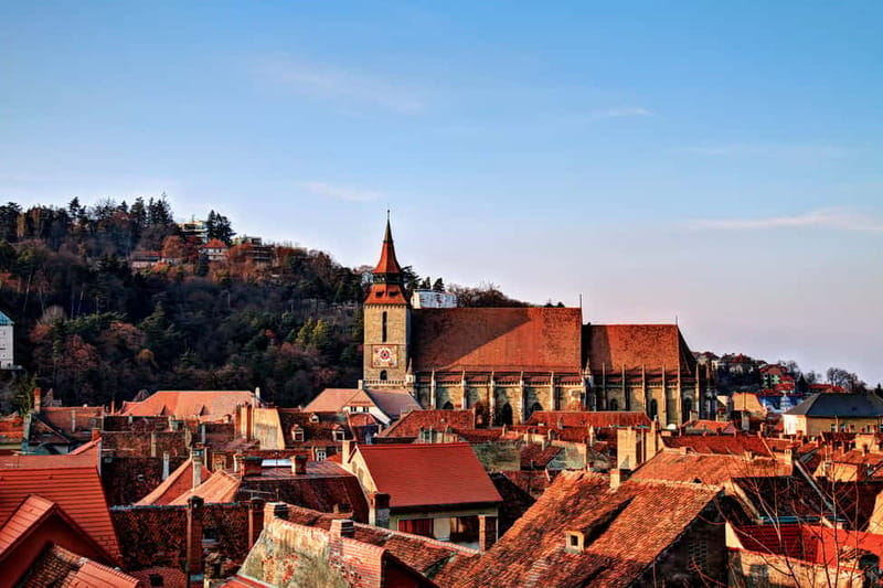 Bucharest: Day Trip to Bear Sanctuary, Bran Castle & Brasov - Zărnești Bear Sanctuary: more than a zoo stop