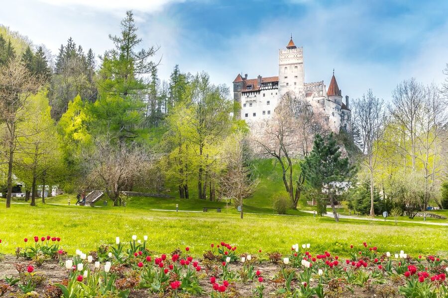 Bucharest: Day Trip to Dracula Castle, Peles Castle & Brașov - Who This Tour Fits Best (and Who Should Skip It)