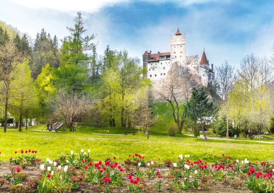 Bucharest: Dracula Castle, Peles Castle & Brasov Guided Tour - Bran Castle after Peleș: Dracula energy with built-in context