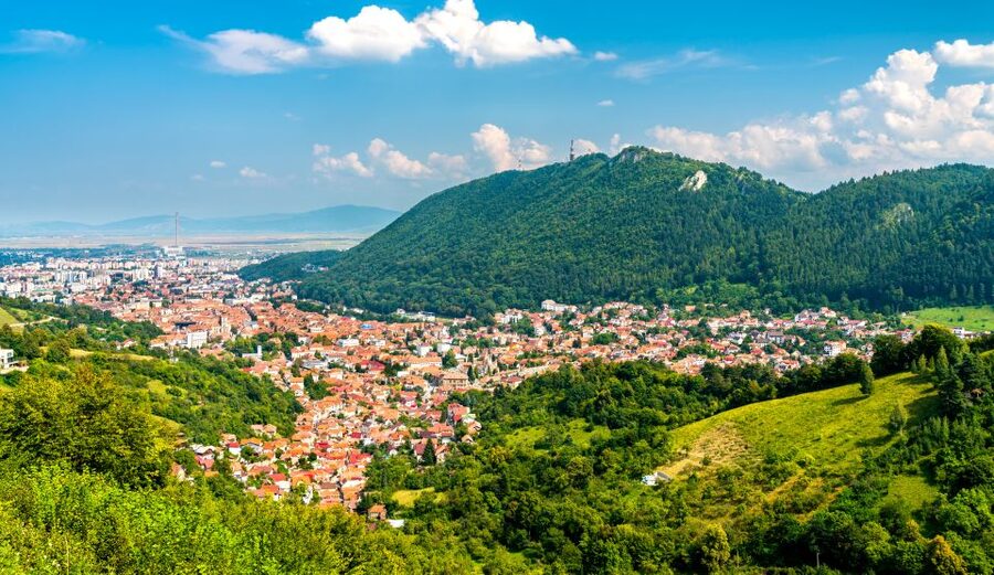 Bucharest: Dracula Castle, Peles Castle & Brasov Guided Tour - Price and value: why $116 can be a fair deal