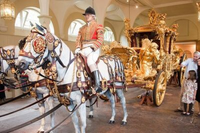 Buckingham Palace: Admission ticket to The Royal Mews - Where the royal transport story starts: the working stables behind Buckingham Palace