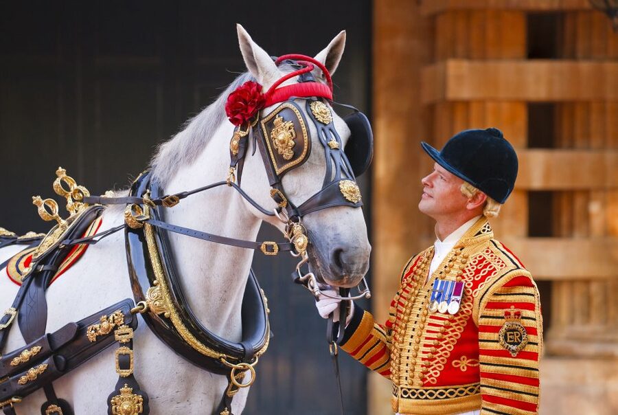 Buckingham Palace: The Royal Mews Entrance Ticket - Key moments worth your ticket