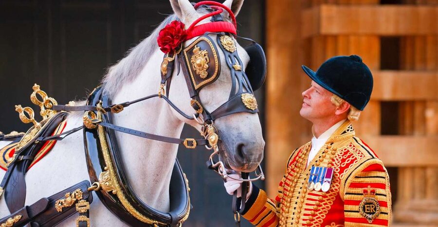 Buckingham Palace: The Royal Mews Entrance Ticket - Walking the working stables: horses, stalls, and why it feels different