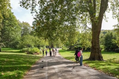 Buckingham Palace: Walking Tour with Entry & Audio Guide - Buckingham Palace entry: getting in fast without needing a guide inside