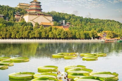 BusDa-Full-Day Bus Trips: Mutianyu, Summer & Old Summer Palaces - Summer Palace (Yiheyuan): Lakeside Gardens and Royal Escapes