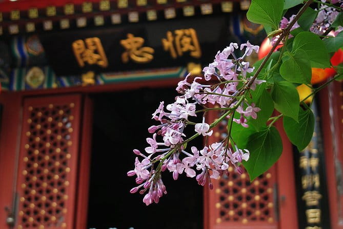 BusDa-Full-Day Bus Trips: Mutianyu, Summer & Old Summer Palaces - Timing and Lunch: How to Survive a 10-Hour Day Without Rushing