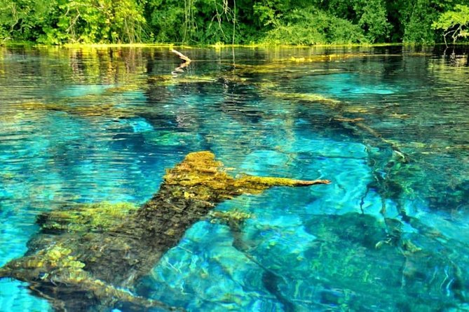 Butrint, Ksamil, Blue Eye, Lekuresi Castle. All-in-one daytrip. - Butrint National Park: ruins that hit harder with a guide