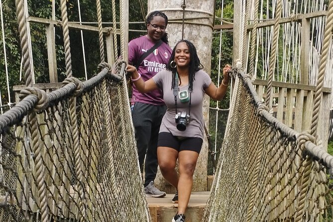 Cape Coast and Elmina Castles Tour - Kakum National Park: Rainforest Hike to the Canopy Walk
