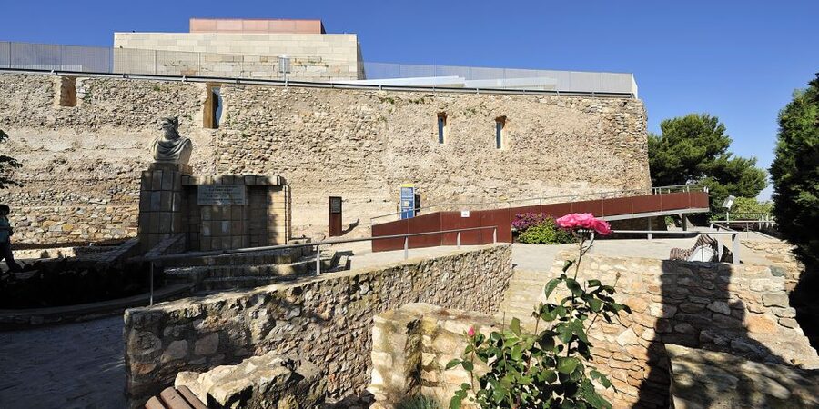 Cartagena: Panoramic Lift & Conception Castle Ticket - Glass-cabin views: Roman amphitheater remnants and 18th-century military work