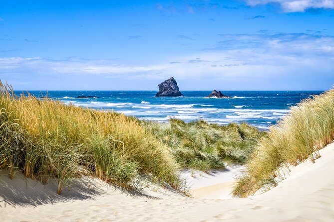 Castle, Coast & City Tour - 8 pax max - Castle Entrance Included - Key things to know before you go