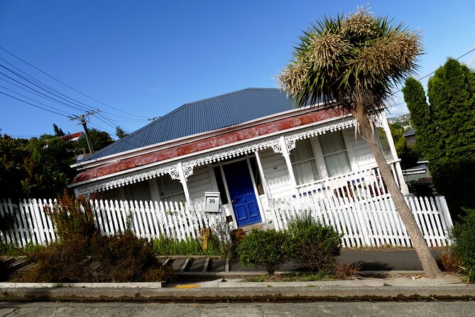 Castle, Coast & City Tour - 8 pax max - Castle Entrance Included - Otago Peninsula: wildlife capital vibes and real scenery time