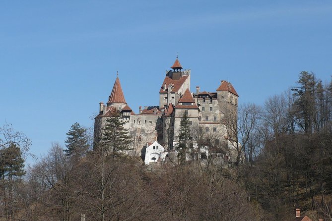 Castles Private Tour Peles - Bran - Rasnov from Brasov - Stop 3: Rasnov Citadel for views, gardens, and fortress energy