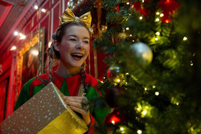 Christmas at Warwick Castle - Light Trail & Ice Skating Packages - Who should book this Warwick Castle Christmas package