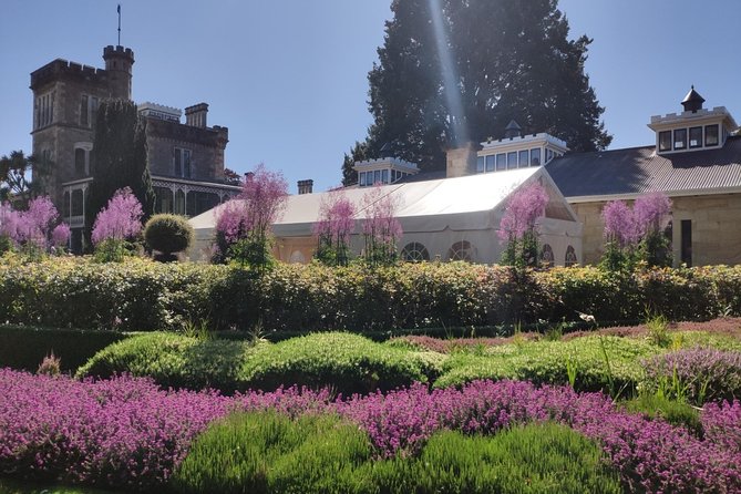 City Highlights, Larnach Castle & Peninsula Views - Key points before you go