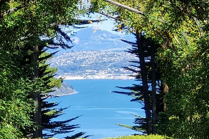 City Highlights, Larnach Castle & Peninsula Views - Port Chalmers pickup to Dunedin highlights, without the chaos