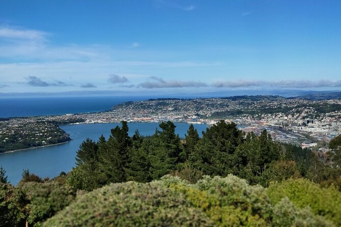 City Highlights, Larnach Castle & Peninsula Views - Otago Peninsula: rugged views and a wind-check reality