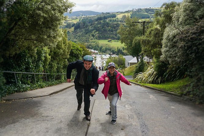 City Highlights, Larnach Castle & Peninsula Views - How the small-group format changes your whole day