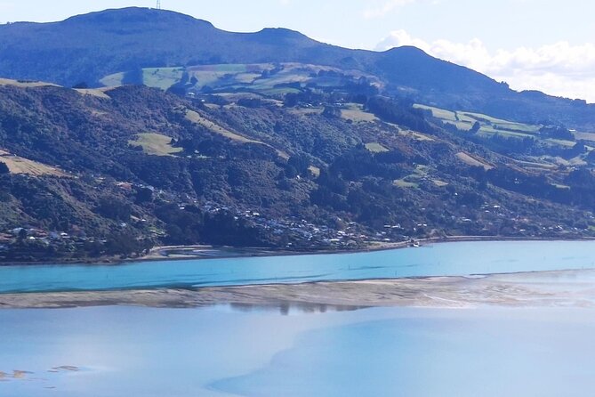 City Highlights, Larnach Castle & Peninsula Views - Price and value: where $152.66 makes sense