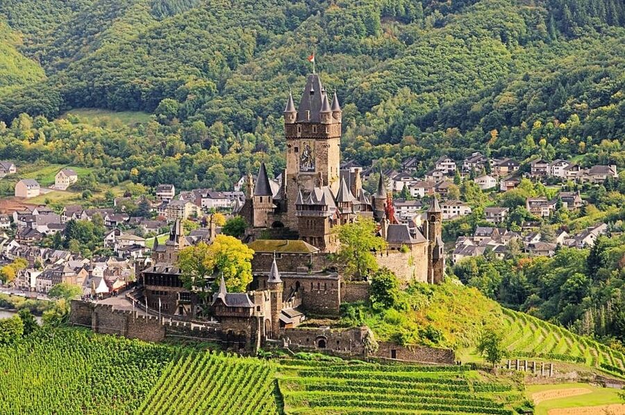 Cochem, Moselle: Castle, boat and wine tour - Wine cellar tasting: 4 wines, self-guided, and how to avoid disappointment
