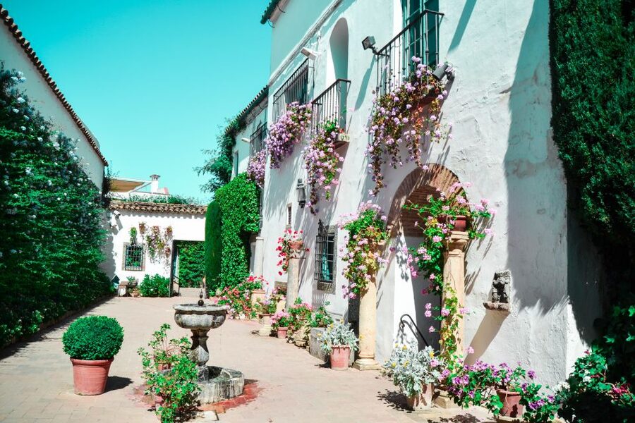 Cordoba: Patios and Viana Palace Tour - Finding the Palacio de Viana and Getting Oriented
