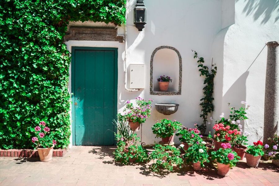 Cordoba: Patios and Viana Palace Tour - Flowers, Sunshine, and Fountains: What the Courtyards Feel Like