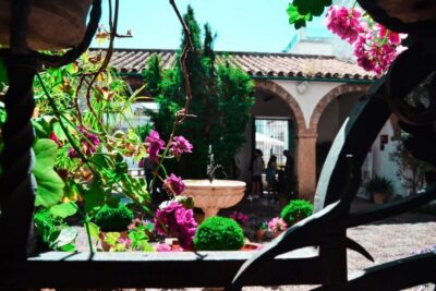 Cordoba: Patios and Viana Palace Tour - The Patio Circuit at Viana Palace: 12 Courtyards, Many Eras
