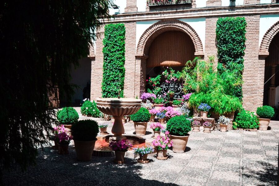 Cordoba: Patios and Viana Palace Tour - Going Inside: Rooms, Art, Weapons, and Medieval Structure