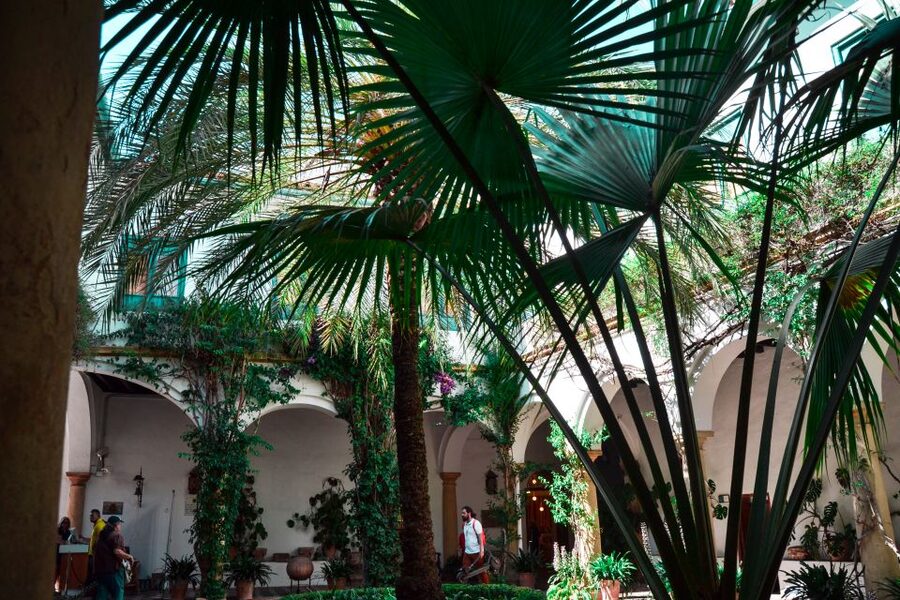Cordoba: Patios and Viana Palace Tour - Should You Book the Córdoba Patios and Viana Palace Tour?