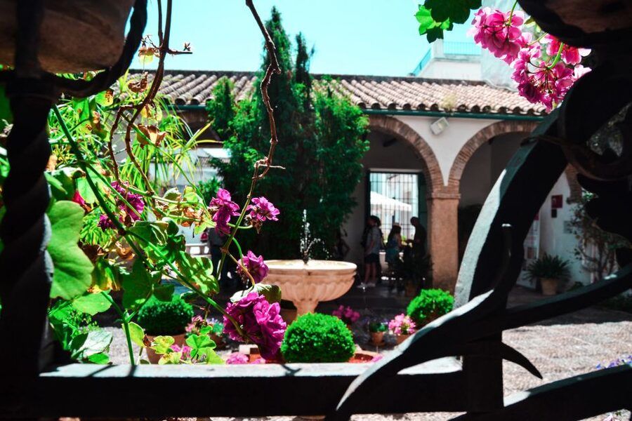 Cordoba: Patios and Viana Palace Tour - The Patio Circuit at Viana Palace: 12 Courtyards, Many Eras