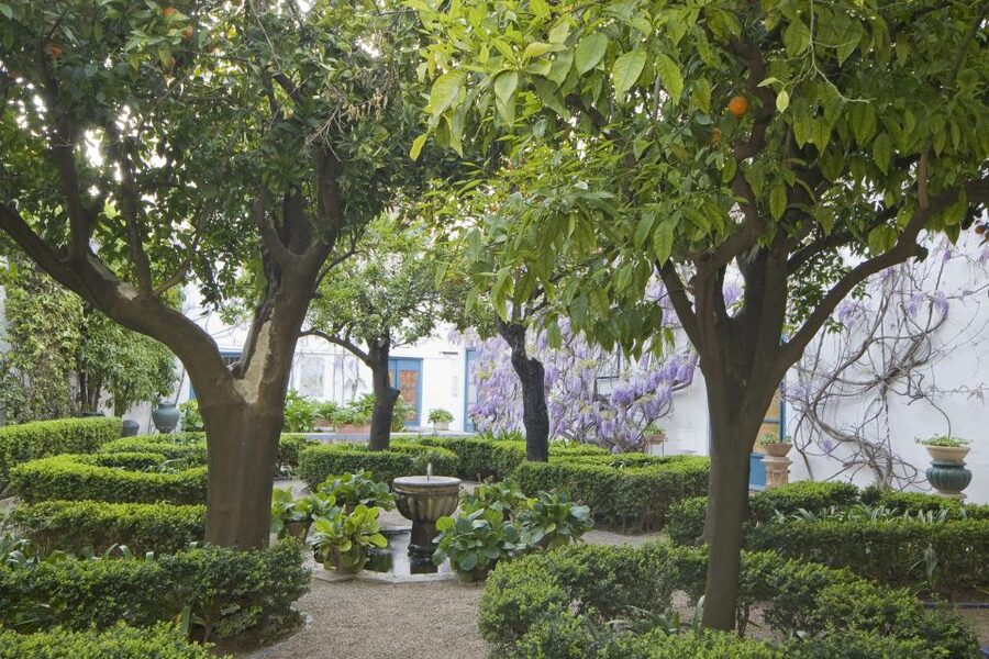 Córdoba: Viana Palace Gardens and Patios Entry Ticket - Key reasons to go for the Viana patios