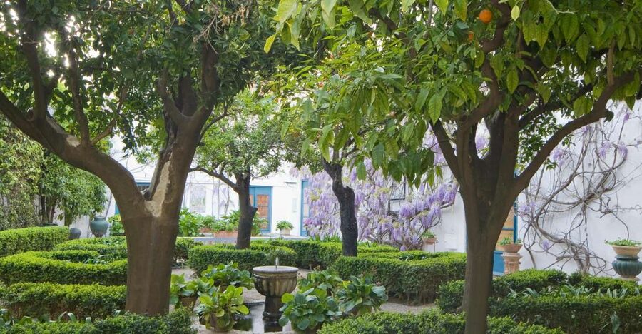 Córdoba: Viana Palace Gardens and Patios Entry Ticket - Gardens that make you forget you’re in a city