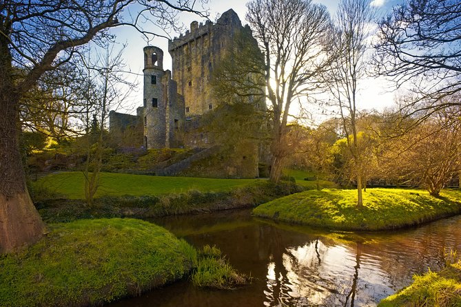Cork and Blarney Castle Visit from Cobh by Train - Cork City Stop at the English Market