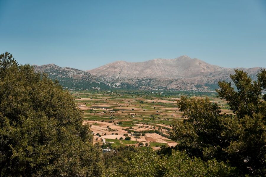 Crete: Knossos Palace and Lassithi Plateau Day Tour - Who this tour suits best (and who should skip it)