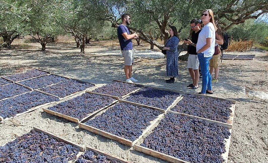 Crete: Knossos Palace, Winery & Olive Oil Tour with Lunch - Traditional village lunch: dolmades, local seasonings, and raki